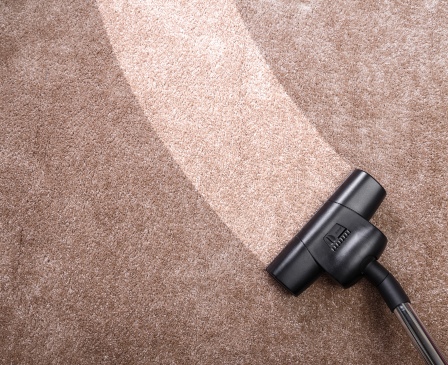Should You Get A Carpet Professionally Cleaned