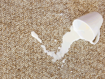 How To Clean Milk Out Of Carpet