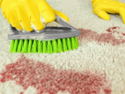 How To Clean Blood From Carpet