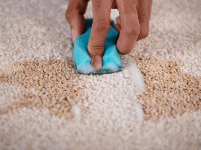 How To Clean Wool Carpet
